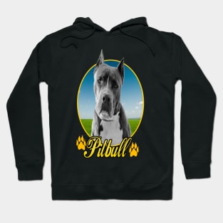 pit bull Hoodie